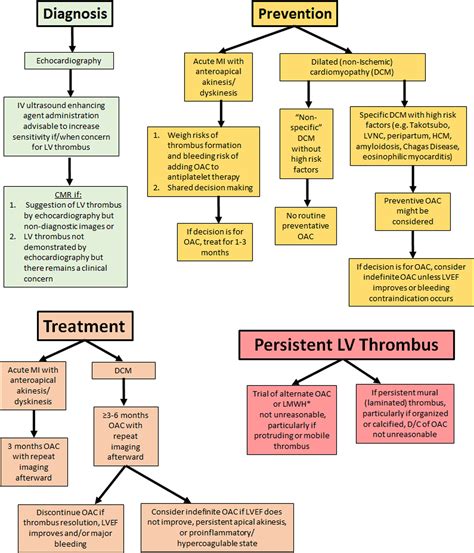 left ventricular thrombus risk management